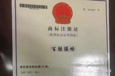 福州設(shè)立“辦不成事”窗口，稅務(wù)咨詢(xún)迎來(lái)新變革